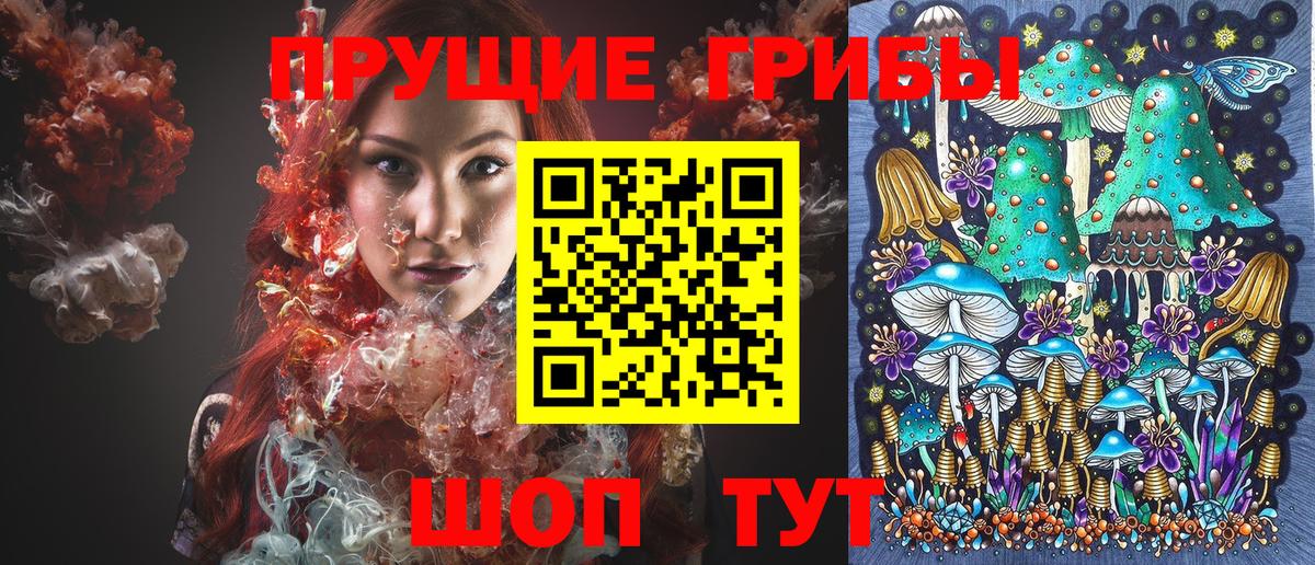 Псилоцибиновые грибы мухоморы  Вход с VPN  Черкесск 