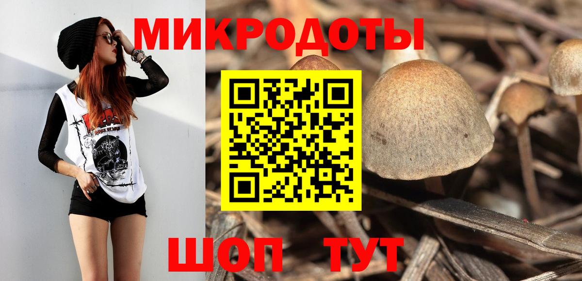 Галлюциногенные грибы MAGIC MUSHROOMS Черкесск